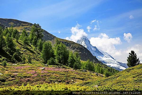 1L2A1051A.jpg 1L2A1051A.jpg