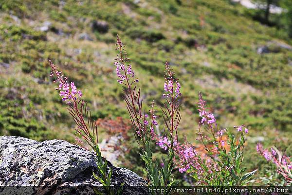 1L2A1075.jpg 1L2A1075.jpg