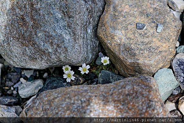 1L2A1498.jpg 1L2A1498.jpg