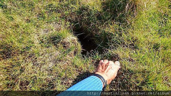 DSC_1154.jpg DSC_1154.jpg