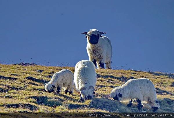 DSCN1983A.jpg DSCN1983A.jpg