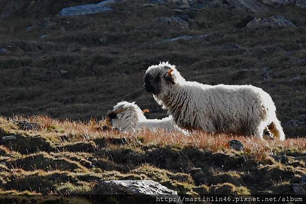 DSCN2008A.jpg DSCN2008A.jpg