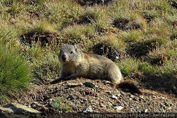 DSCN2048AA.jpg DSCN2048AA.jpg