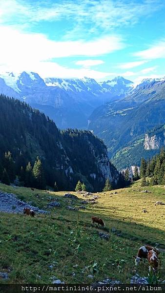 DSC_2435.jpg DSC_2435.jpg