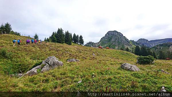 DSC_2533.jpg DSC_2533.jpg