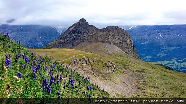 DSC_2657.jpg DSC_2657.jpg