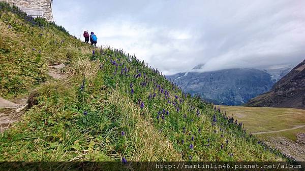 DSC_2656.jpg DSC_2656.jpg