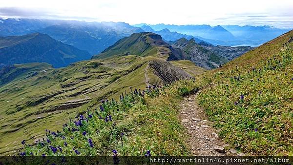 DSC_2658A.jpg DSC_2658A.jpg