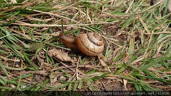 DSC_2659.jpg DSC_2659.jpg