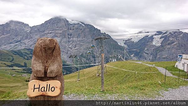 DSC_2738.jpg DSC_2738.jpg