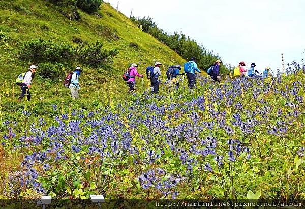 DSCN3486A.jpg DSCN3486A.jpg