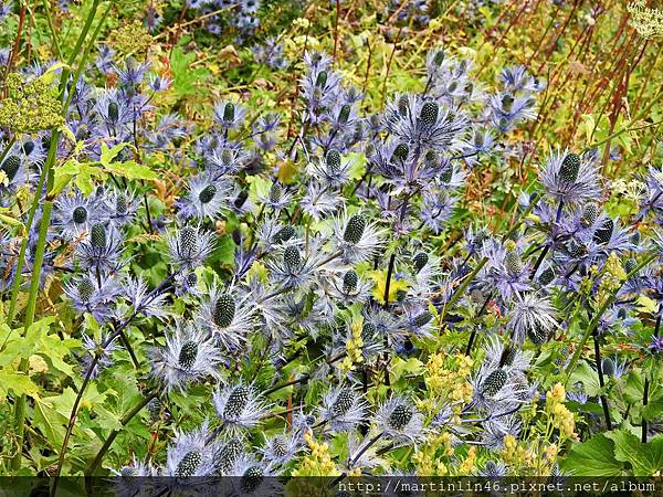 DSCN3489A.jpg DSCN3489A.jpg