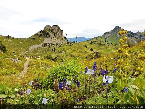 DSCN3491A.jpg DSCN3491A.jpg