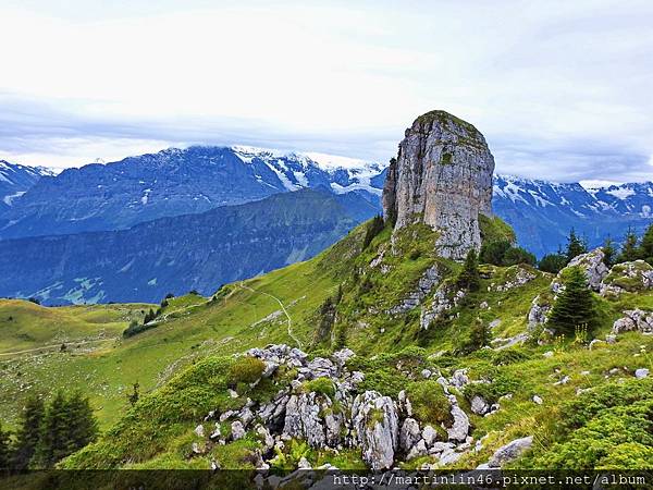 DSCN3513.jpg DSCN3513.jpg