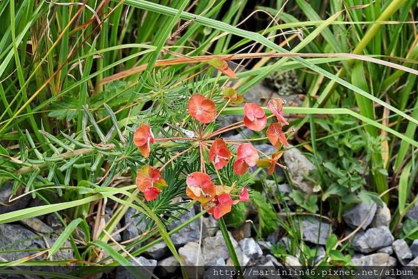 DSCN3528.jpg DSCN3528.jpg