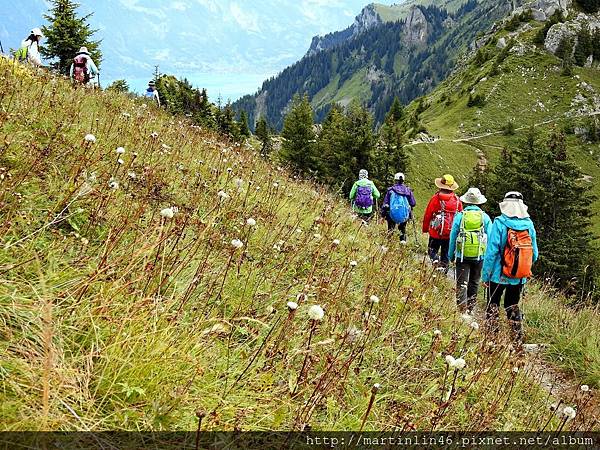 DSCN3524.jpg DSCN3524.jpg