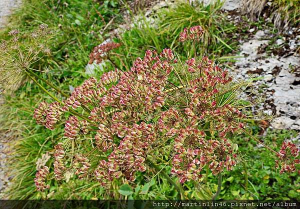 DSCN3534A.jpg DSCN3534A.jpg