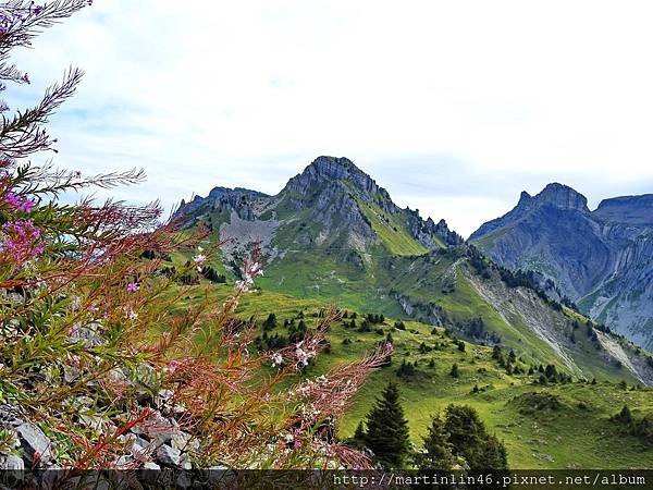 DSCN3543A.jpg DSCN3543A.jpg