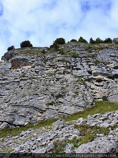 DSCN3545.jpg DSCN3545.jpg