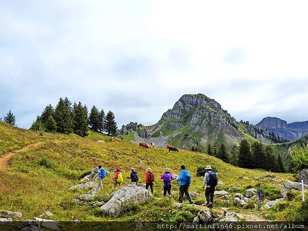 DSCN3554.jpg DSCN3554.jpg