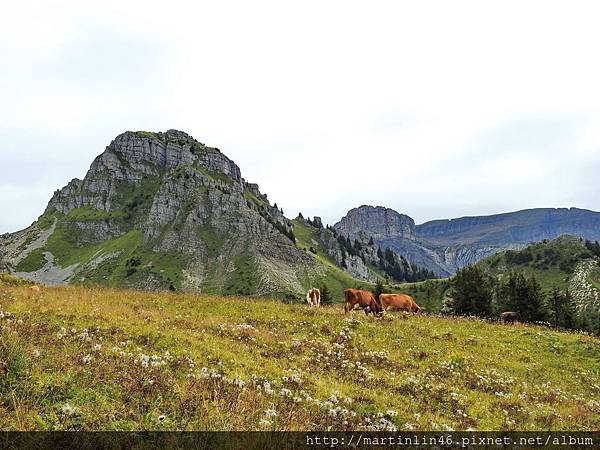 DSCN3556.jpg DSCN3556.jpg