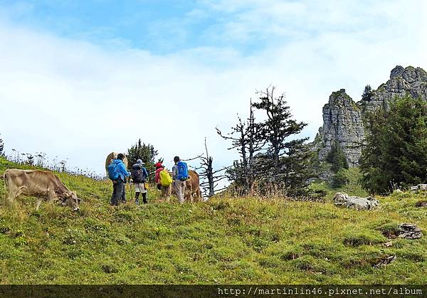 DSCN3574.jpg DSCN3574.jpg