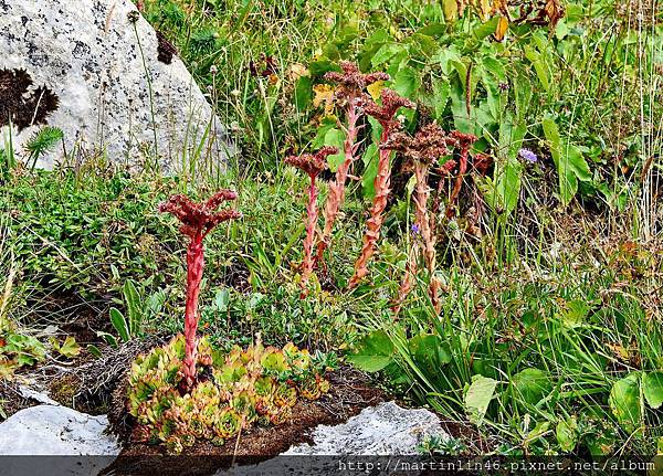 DSCN3581A.jpg DSCN3581A.jpg