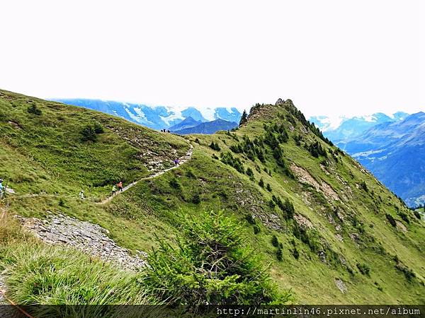 DSCN3600.jpg DSCN3600.jpg