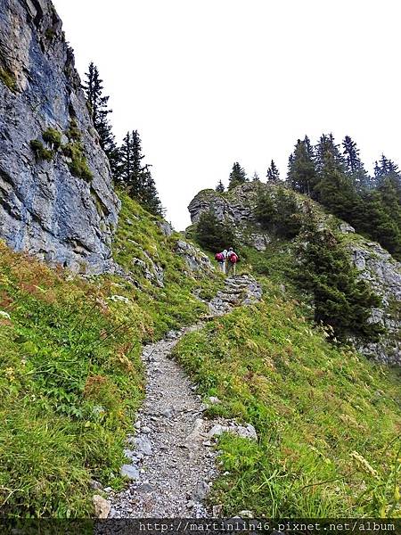 DSCN3608.jpg DSCN3608.jpg