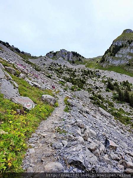 DSCN3614.jpg DSCN3614.jpg