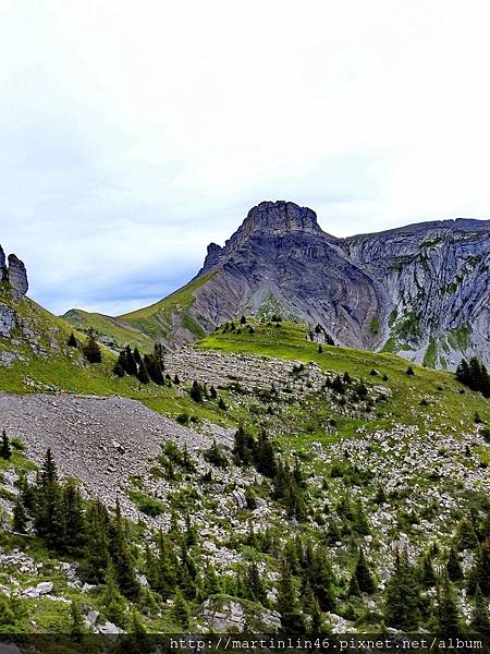 DSCN3618.jpg DSCN3618.jpg