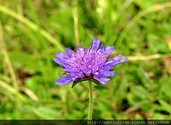 DSCN3622A.jpg DSCN3622A.jpg