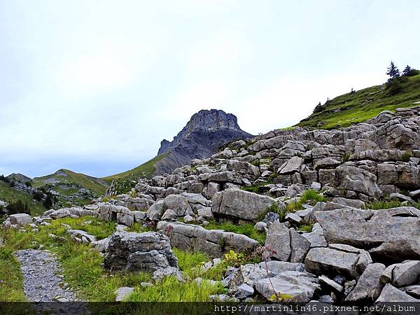 DSCN3629.jpg DSCN3629.jpg