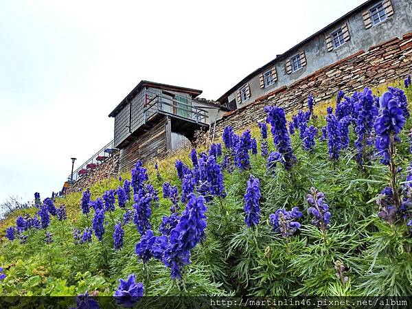 DSCN3709.jpg DSCN3709.jpg