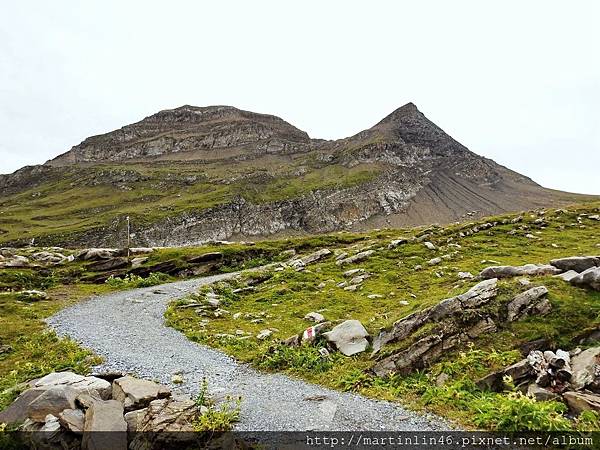 DSCN3730.jpg DSCN3730.jpg