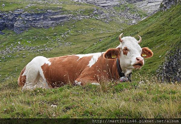 DSCN3752.jpg DSCN3752.jpg