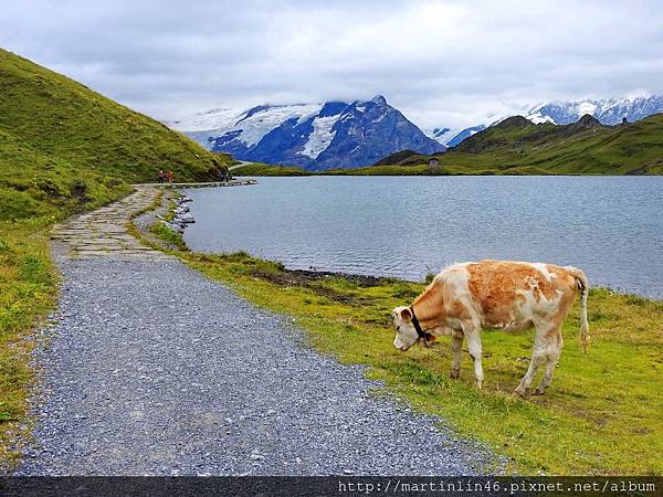 DSCN3736.jpg DSCN3736.jpg