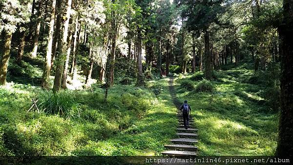 1543925078061A.jpg 1543925078061A.jpg