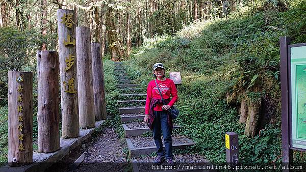 DSC_0372.jpg DSC_0372.jpg