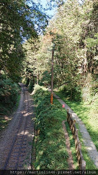 DSC_0391.jpg DSC_0391.jpg