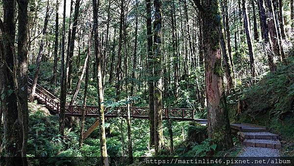 DSC_0394.jpg DSC_0394.jpg