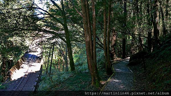 DSC_0393.jpg DSC_0393.jpg