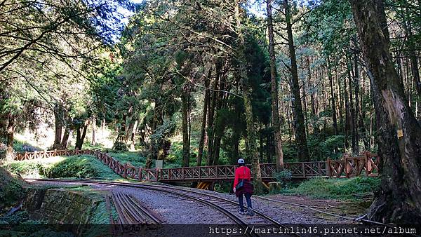 DSC_0400.jpg DSC_0400.jpg