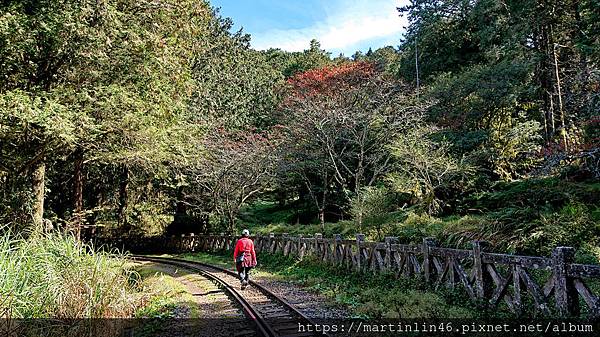 DSC_0396.jpg DSC_0396.jpg