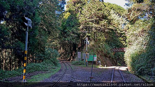 DSC_0405.jpg DSC_0405.jpg