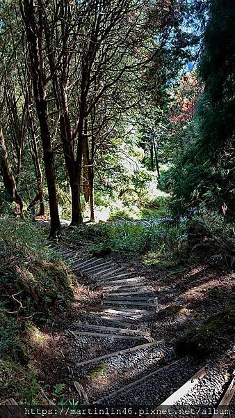 DSC_0408.jpg DSC_0408.jpg