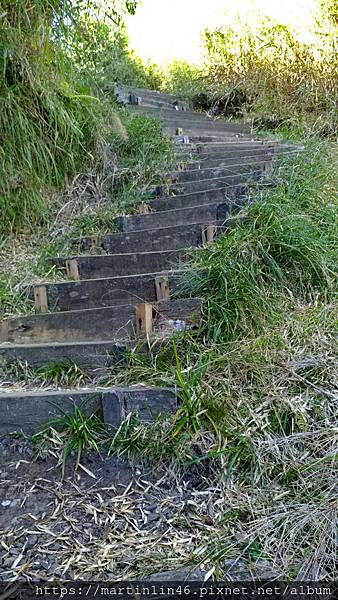 1543915471463.jpg 1543915471463.jpg