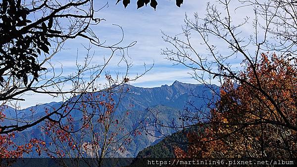 DSC_0413.jpg DSC_0413.jpg