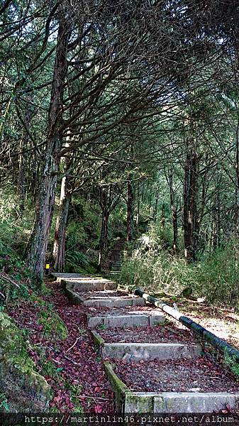 DSC_0411.jpg DSC_0411.jpg