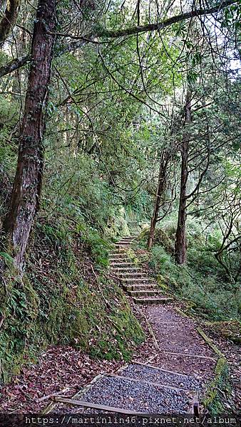 DSC_0414.jpg DSC_0414.jpg